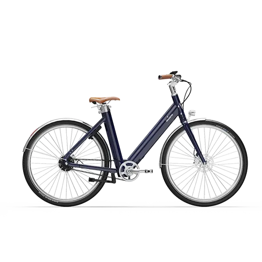 Voltaire - Rivoli - vélo électrique